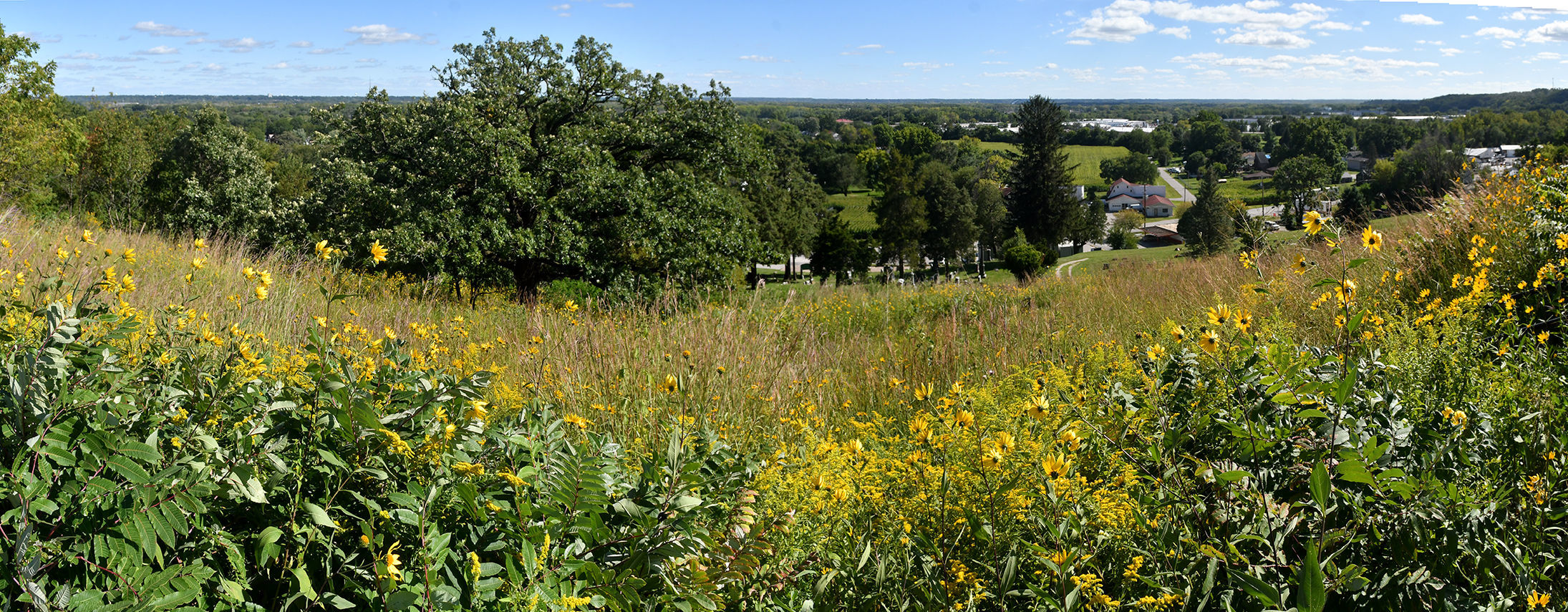Davenport Fairmount Cemetery prairie